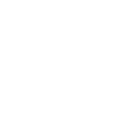 ibso-icono3